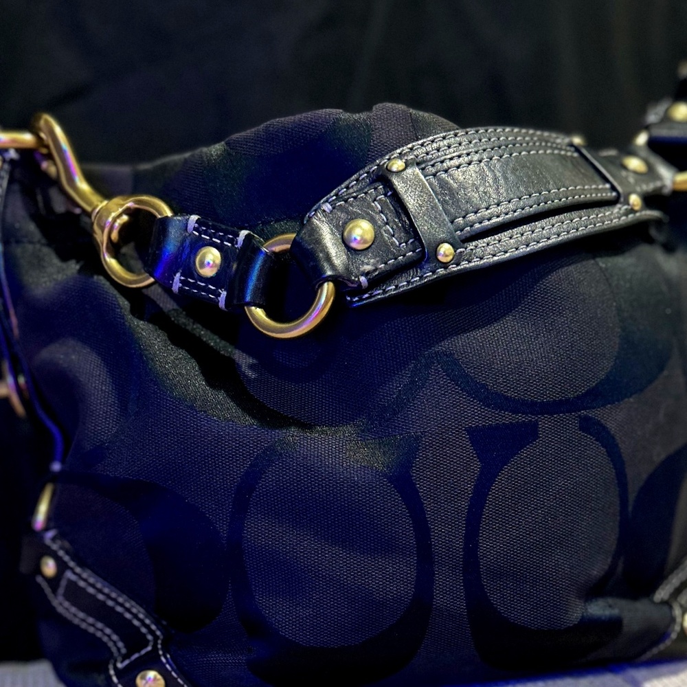 Coach Carly Signature Hobo Bag